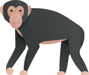 simpanz
