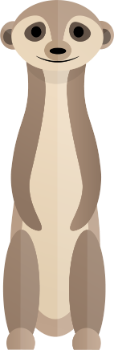 surikata